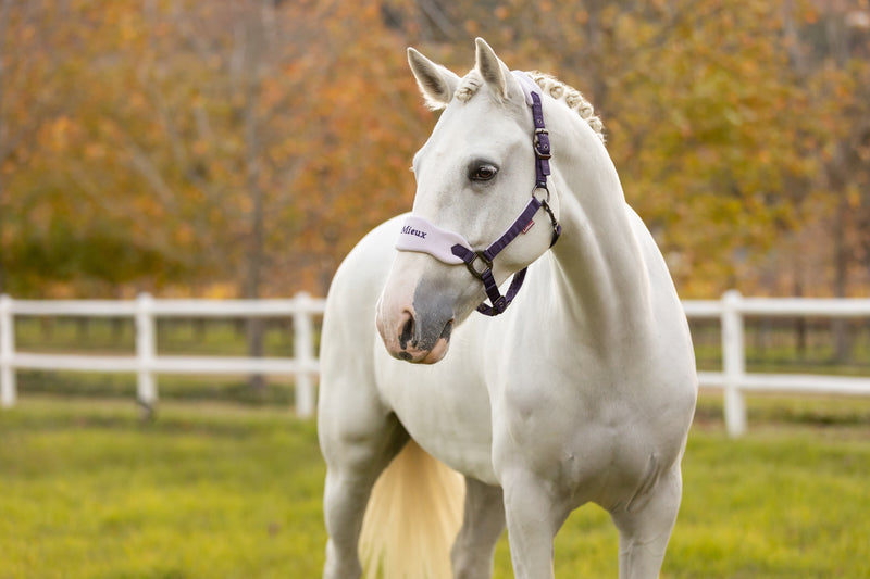 LeMieux Vogue Headcollar and Leadrope Juniper - Vision Saddlery