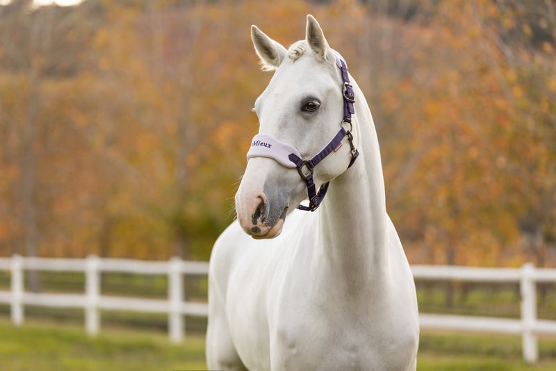 LeMieux Vogue Headcollar and Leadrope Juniper - Vision Saddlery