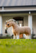 LeMieux Toy Pony - OSKAR - Vision Saddlery