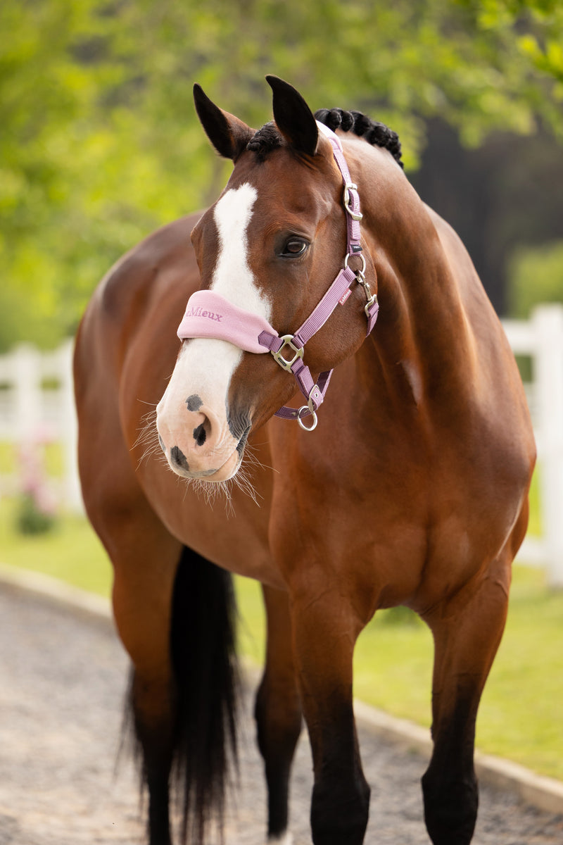 LeMieux Vogue Headcollar and Leadrope - Mallow - Vision Saddlery