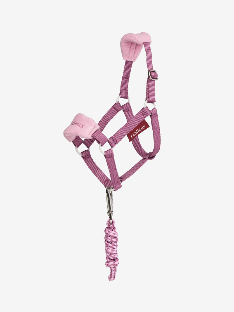 Lemieux Hobby Horse Vogue Headcollar & Leadrope VARIOUS COLOURS - Vision Saddlery