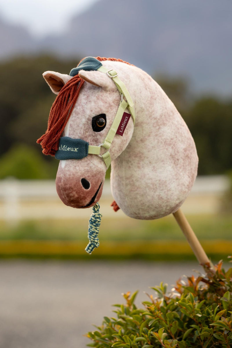 Lemieux Hobby Horse Vogue Headcollar & Leadrope VARIOUS COLOURS - Vision Saddlery