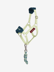 Lemieux Hobby Horse Vogue Headcollar & Leadrope VARIOUS COLOURS - Vision Saddlery