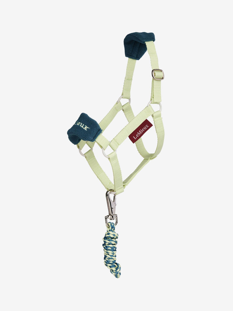 Lemieux Hobby Horse Vogue Headcollar & Leadrope VARIOUS COLOURS - Vision Saddlery