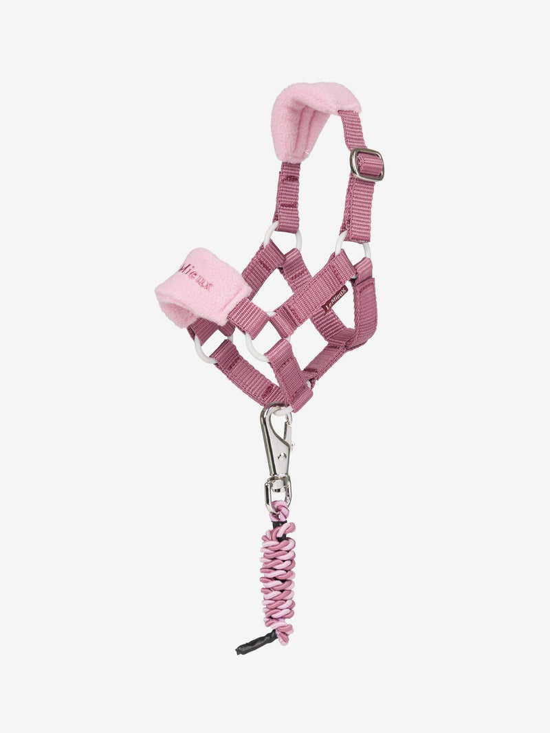LeMieux Toy Pony Vogue Headcollar - VARIOUS COLOURS - Vision Saddlery