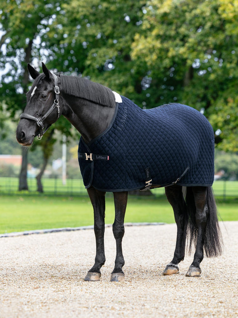 LeMieux Arika Clima-Tek Rug Black
