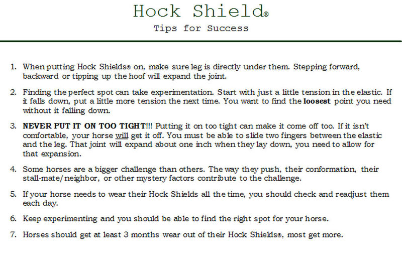 Hock Shield - Vision Saddlery