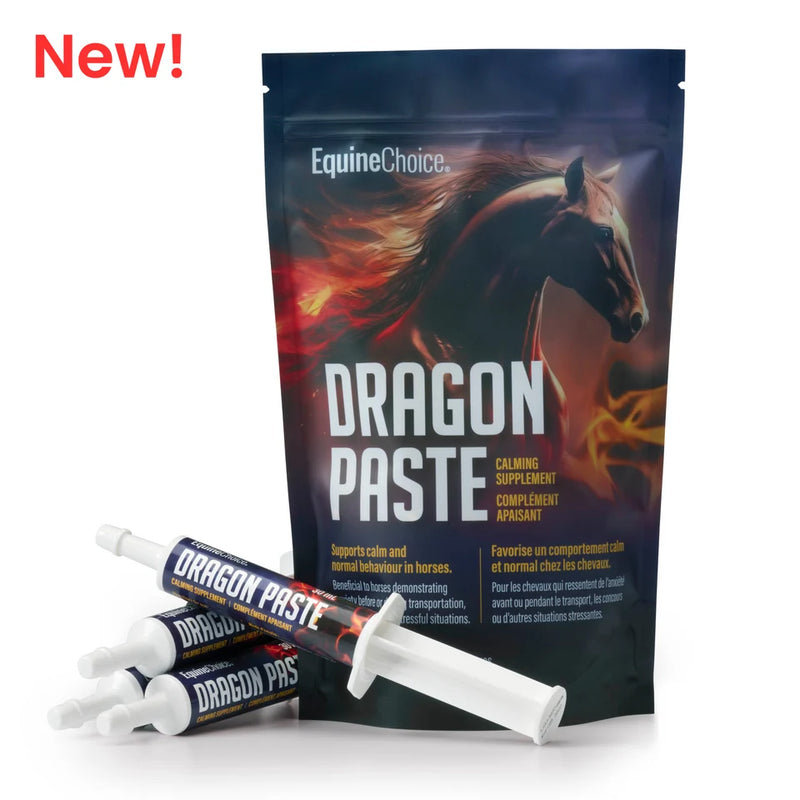 Equine Choice Dragon Paste 3 x 30ml