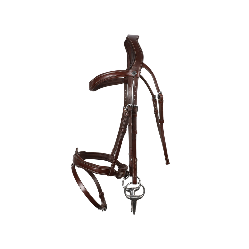 Signature by Antares SPORT Flash Noseband Bridle - Vision Saddlery