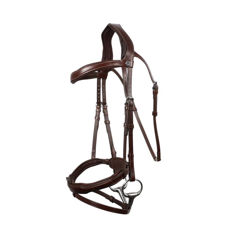 Signature by Antares SPORT Flash Noseband Bridle - Vision Saddlery