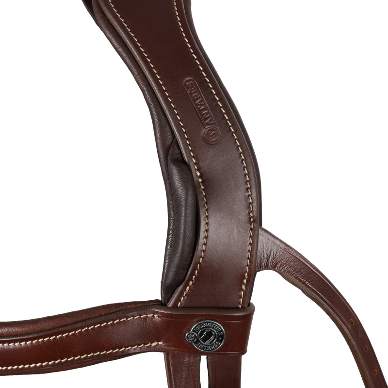 Signature by Antares SPORT Flash Noseband Bridle - Vision Saddlery