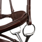 Signature by Antares SPORT Flash Noseband Bridle - Vision Saddlery