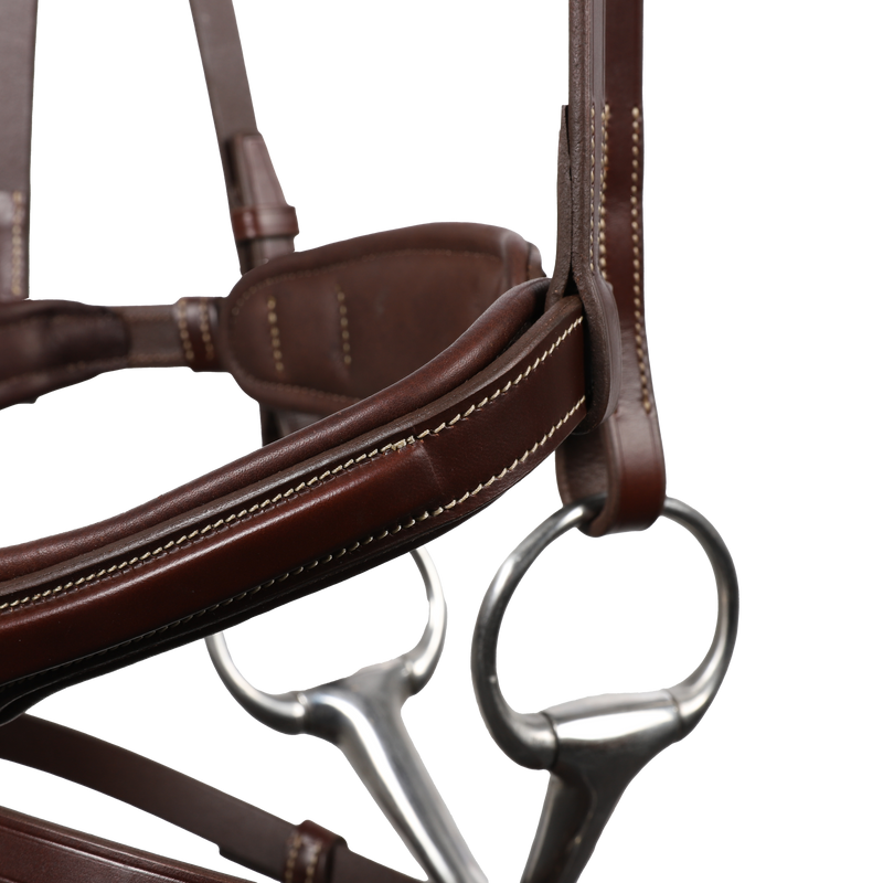 Signature by Antares SPORT Flash Noseband Bridle - Vision Saddlery