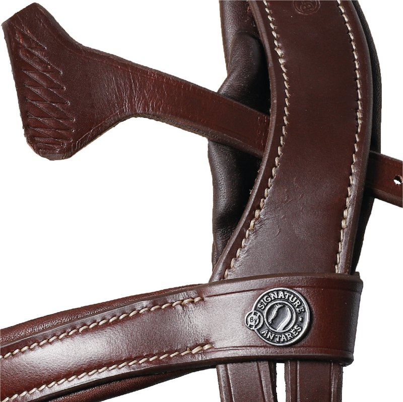 Signature by Antares SPORT Flash Noseband Bridle - Vision Saddlery