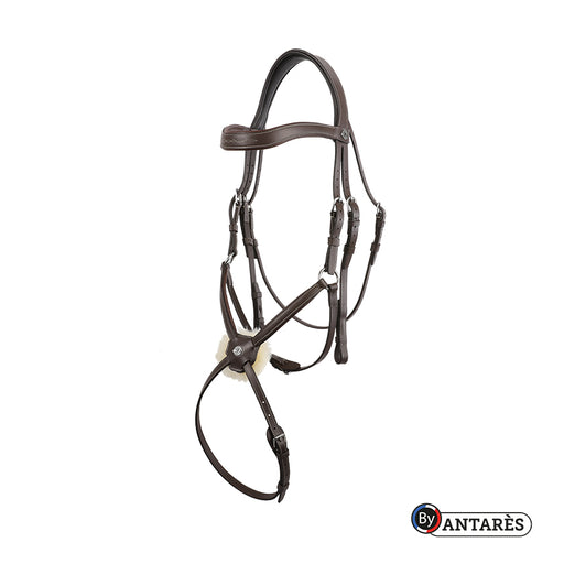 Signature by Antares Figure 8 Bridle - Vision Saddlery