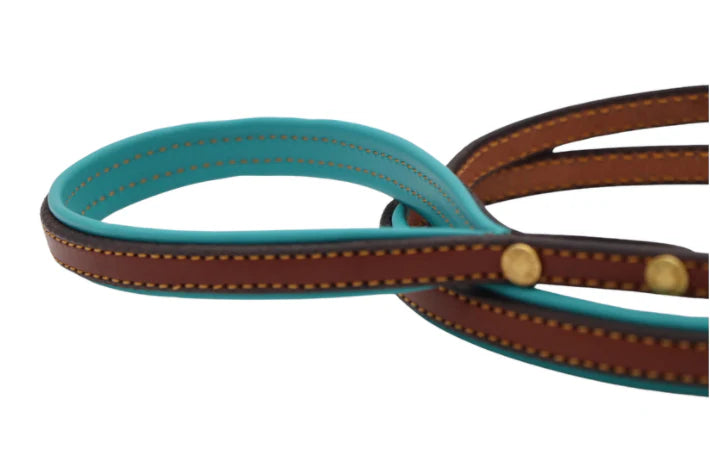 Custom Engraved Padded Leather Leash