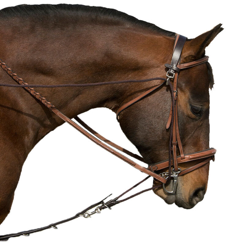 Exselle Elite Degogue - Various Sizes - Vision Saddlery