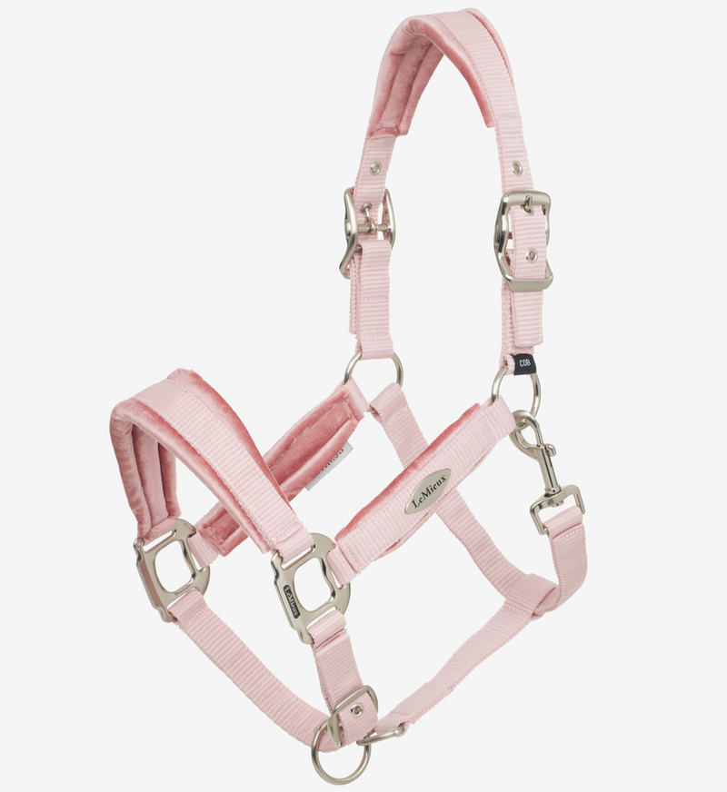 LeMieux Versailles Headcollar - VARIOUS COLOURS - Vision Saddlery