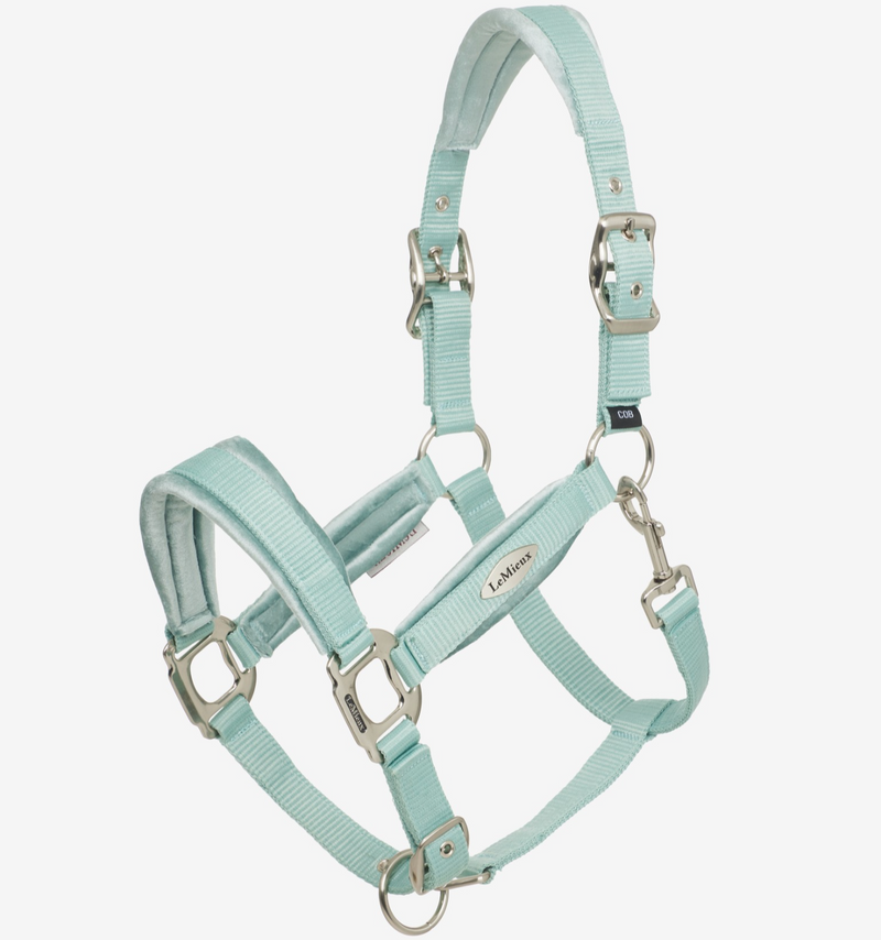 LeMieux Versailles Headcollar - VARIOUS COLOURS - Vision Saddlery