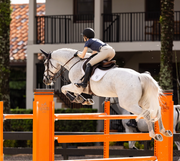 TKEQ The Kennedy Seamless Short Sleeve- NAVY CAMO - Vision Saddlery