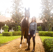 TKEQ Crest Long Sleeve Shirt - PEPPER - Vision Saddlery