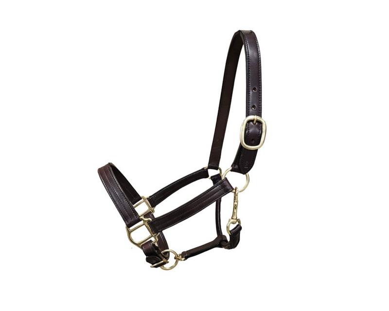 Bromont Premium Leather Halter - Vision Saddlery