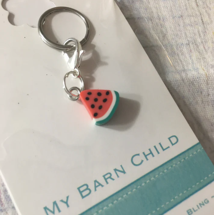 🇨🇦 My Barn Child Bridle Charms - COLOURS - Vision Saddlery