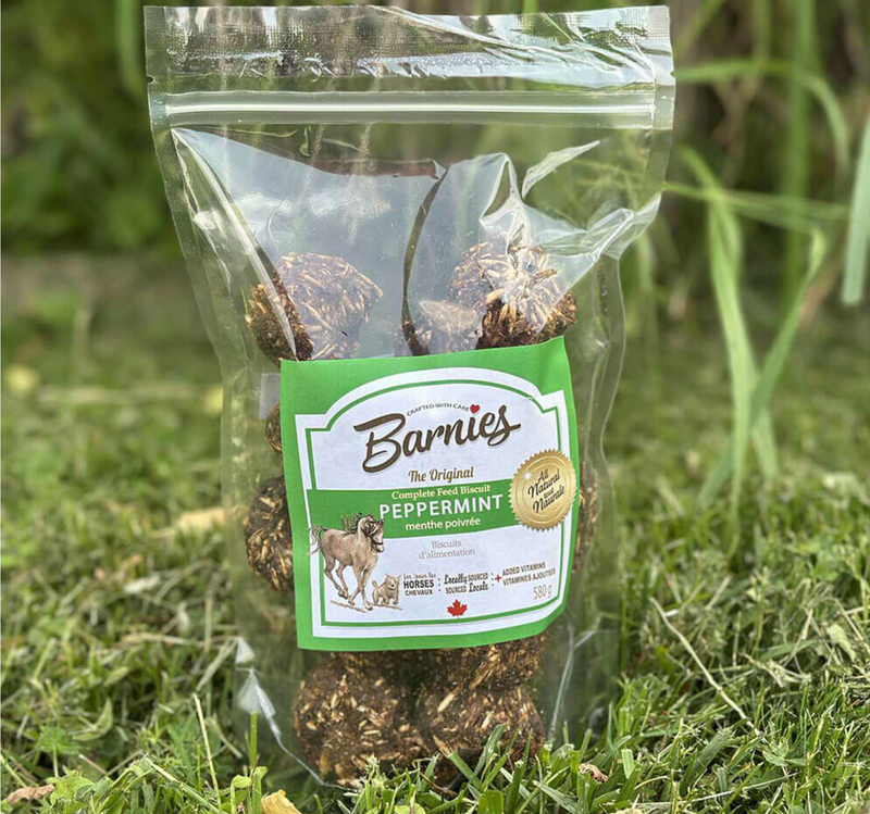 Barnies Horse Treat 15 Pieces - 580g - Vision Saddlery