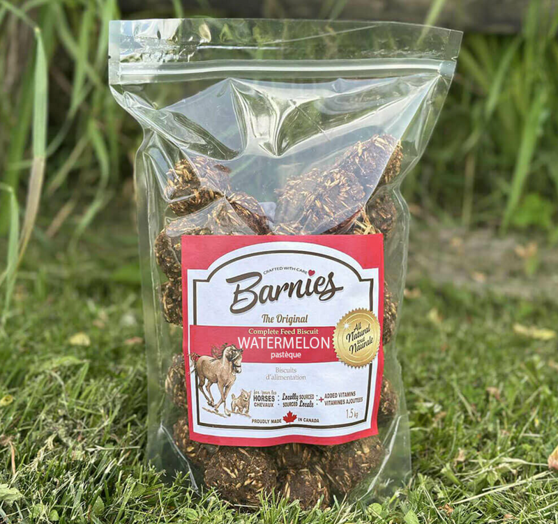 Barnies Horse Treat 40 Pieces - 1.5kg - Vision Saddlery