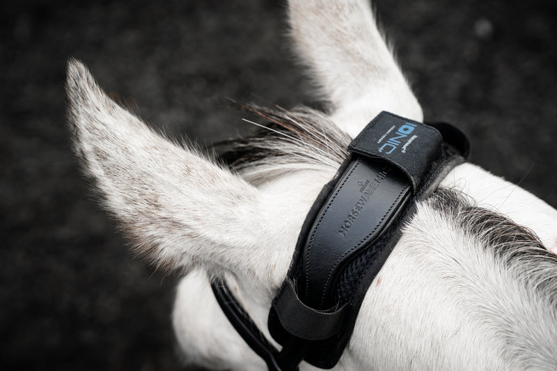 Horseware Ionic Poll Cover - Vision Saddlery