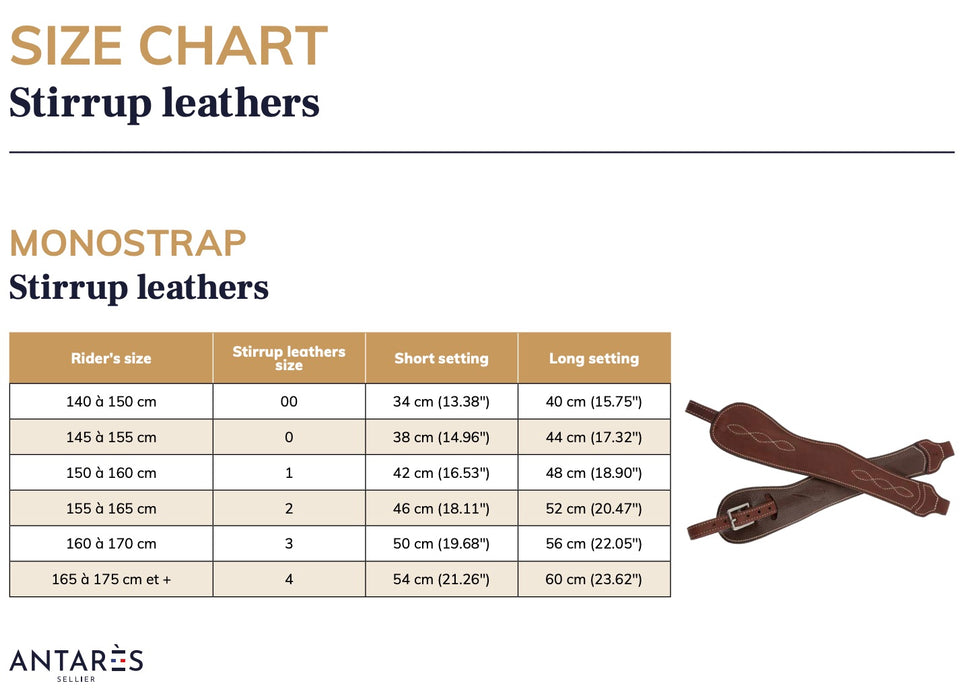 Signature by Antares Single Strap Stirrup Leathers - Various Sizes/Colours