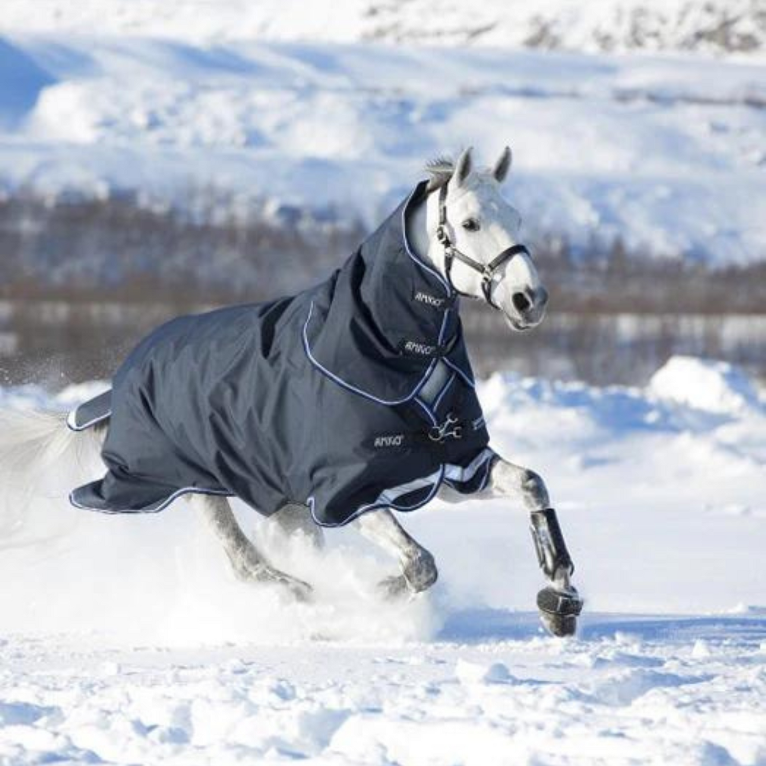 Vision Saddlery Equestrian Store Near Me Vision Saddlery Ottawa