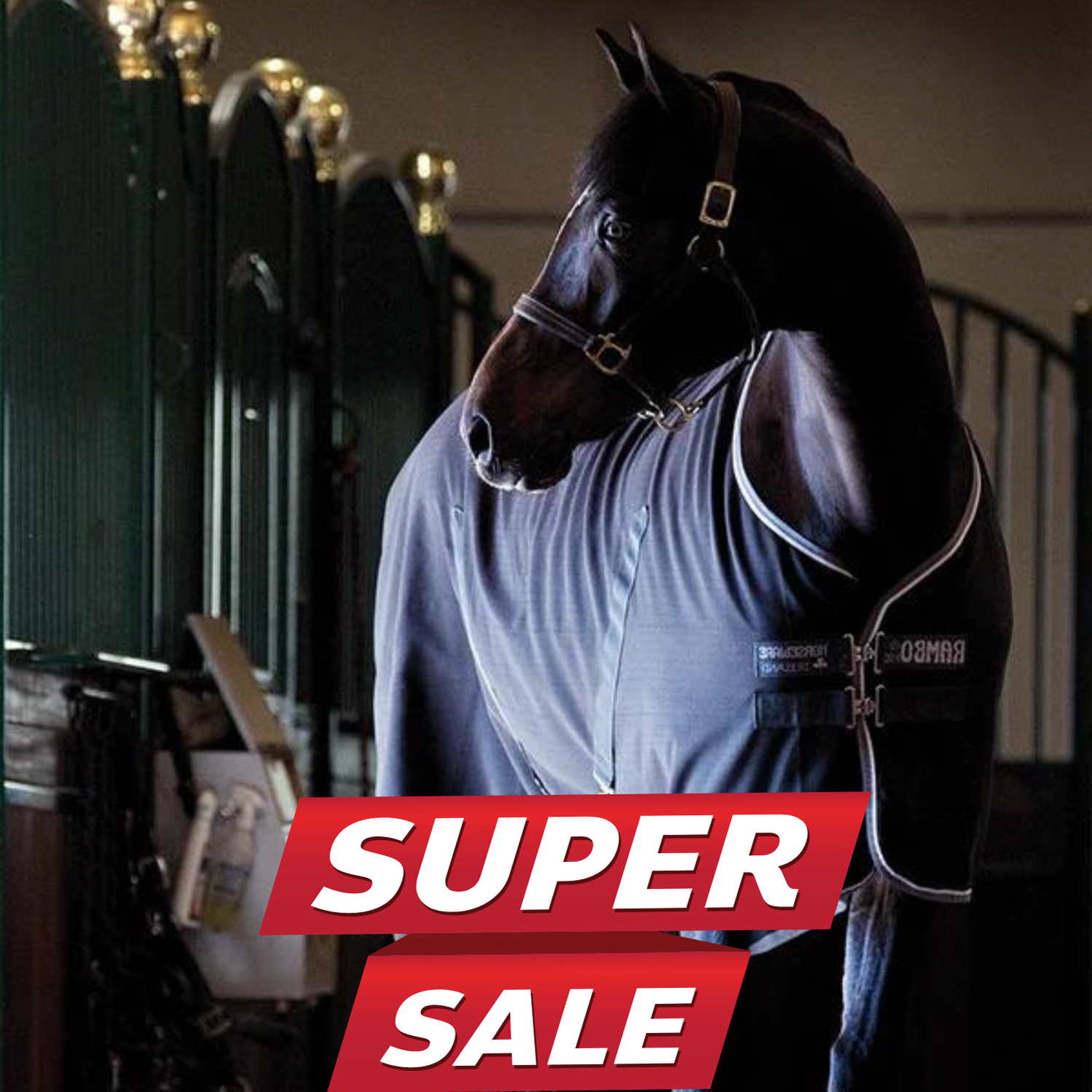 Vision Saddlery Equestrian Store Near Me Vision Saddlery Ottawa