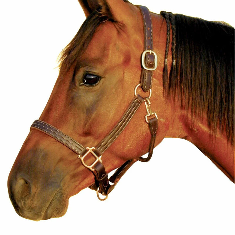 Deluxe 1" Triple Stitched Leather Halter  Full Size - Vision Saddlery