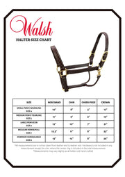 Walsh Showman Halter - Vision Saddlery