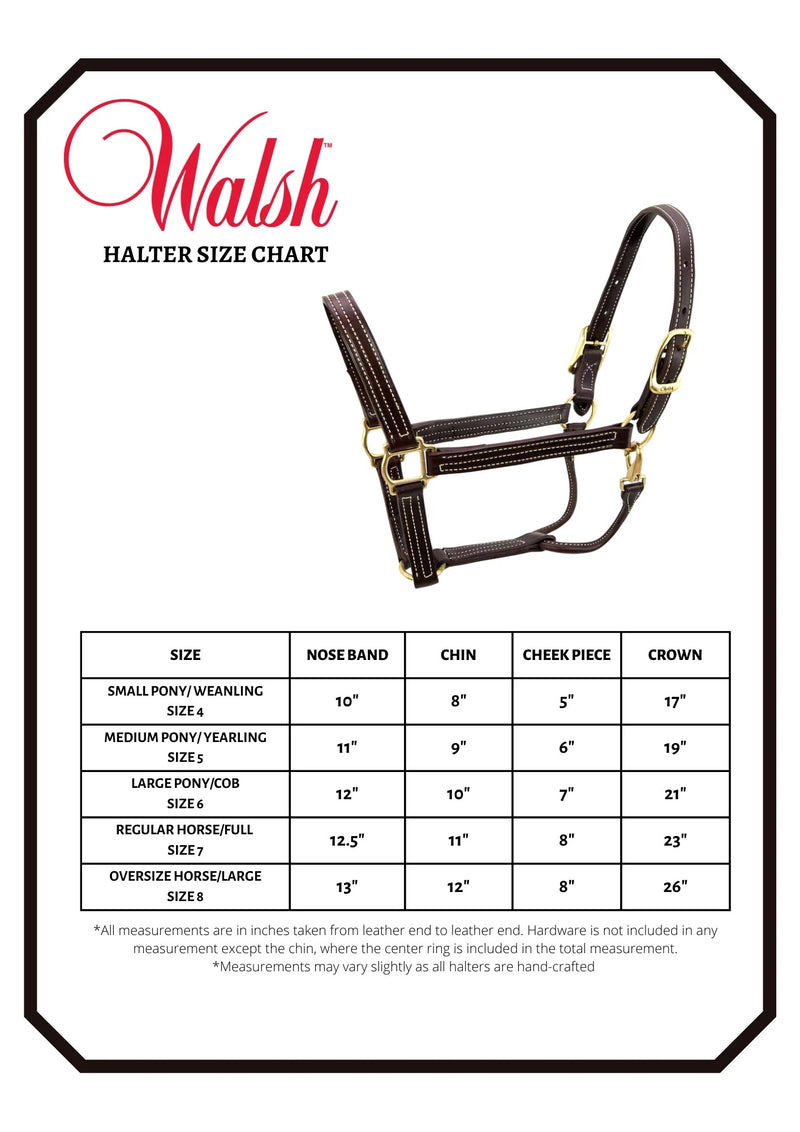 Walsh Showman Halter - Vision Saddlery