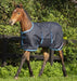 Amigo Foal Ripstop Turnout Blanket - 250g - Vision Saddlery