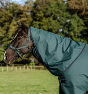 Amigo Ripstop 900D Plus 200g Turnout - Vision Saddlery