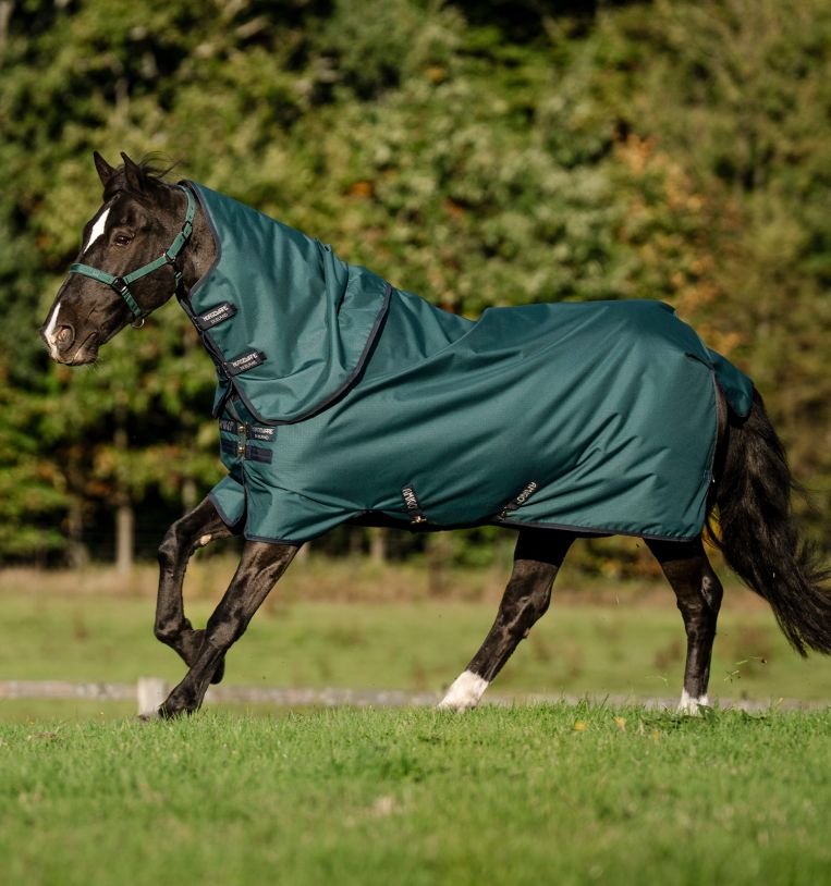 Amigo Ripstop 900D Plus 200g Turnout - Vision Saddlery