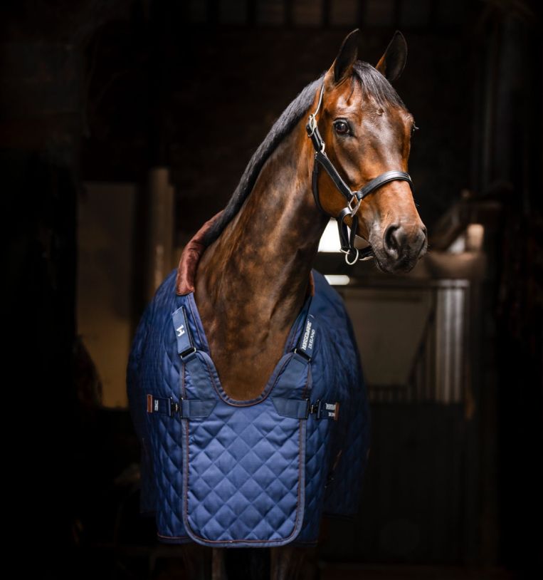 Horseware Signature Stable 200g - Vision Saddlery