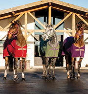 Amigo Fleece Cooler - Vision Saddlery