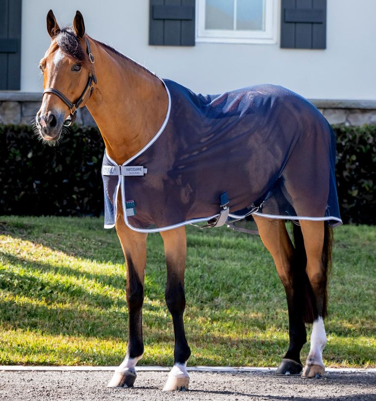 Amigo Net Cooler - Vision Saddlery