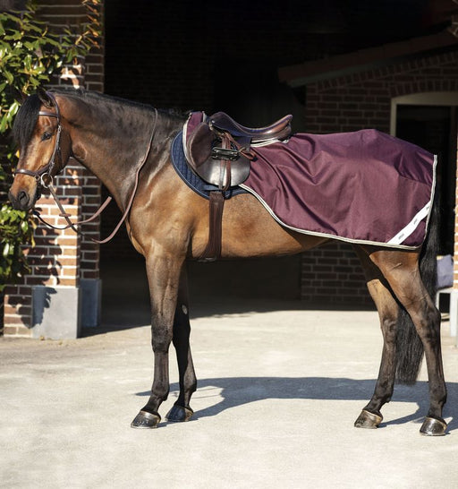 Amigo Ripstop Competition Sheet - 2 Colours - Vision Saddlery