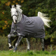 CLEARANCE Amigo Bravo 12 Turnout Sheet with Leg Arches Lite (0g) - Vision Saddlery