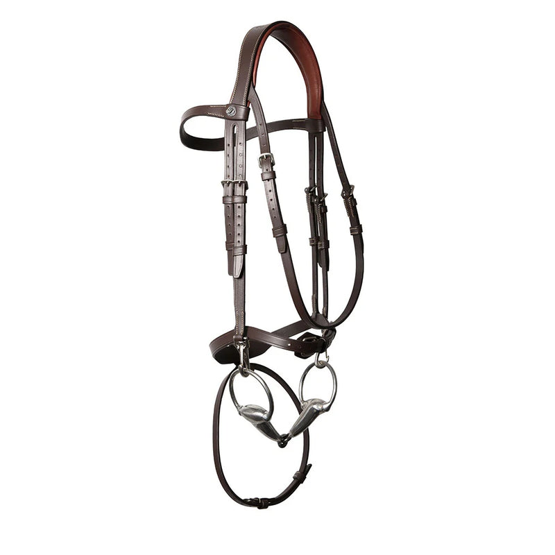 Signature by Antares Training Bridle with Flash Noseband - Vision Saddlery
