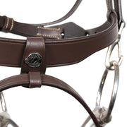 Signature by Antares Training Bridle with Flash Noseband - Vision Saddlery