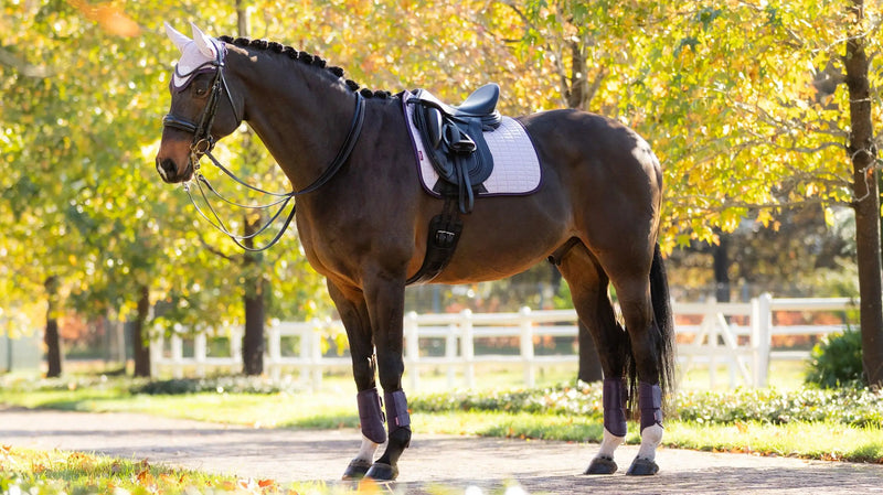 *CLEARANCE* LeMieux Suede Dressage Saddle Pad Lilac