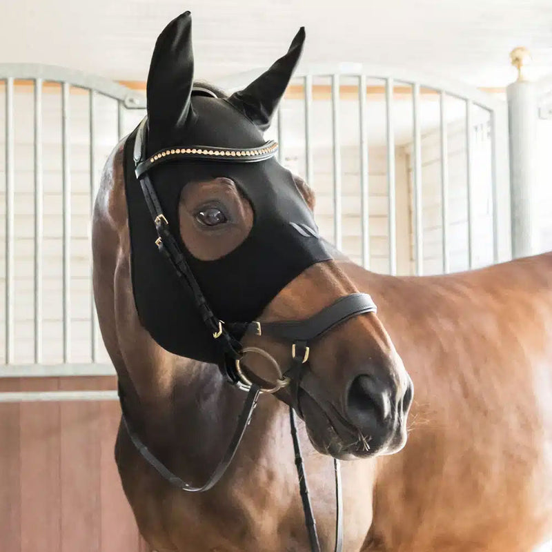 Back On Track Sprit Soothing Hood with Ears - BLACK - Vision Saddlery