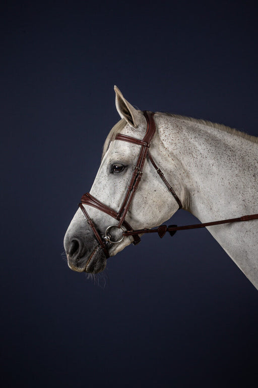 Dy'on New English Collection Anatomic Flash Noseband Bridle - Vision Saddlery