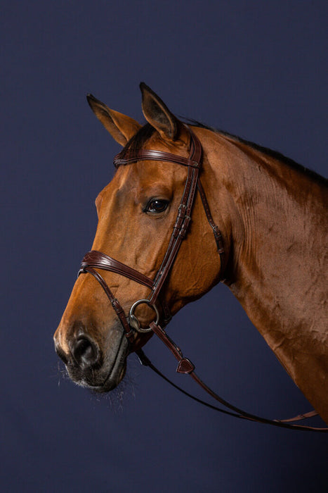 Dy'on New English Collection Anatomic Flash Noseband Bridle - Vision Saddlery